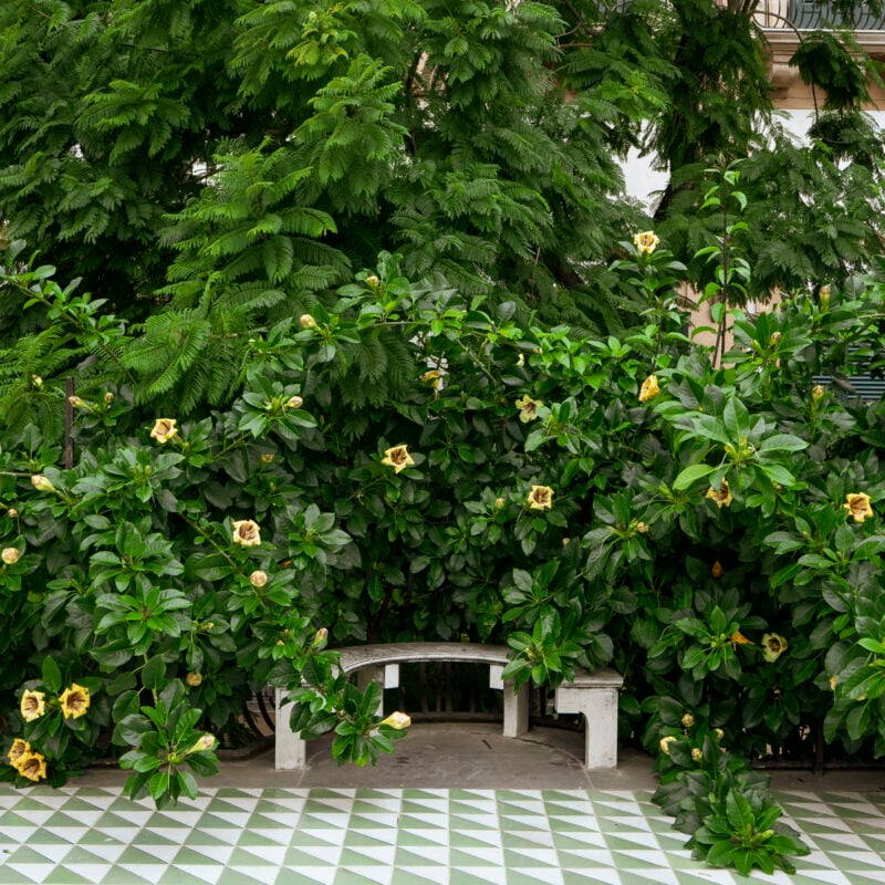 Palazzo Butera | Palazzo Butera Foundation