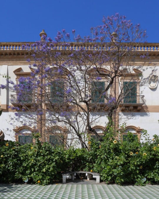 Palazzo Butera | Fondazione Butera Palermo