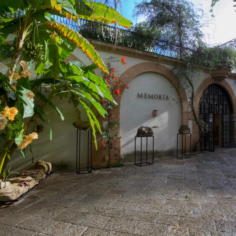 Intensive arts study programme in Palermo