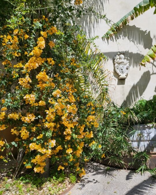 Palazzo Butera | Fondazione Butera Palermo