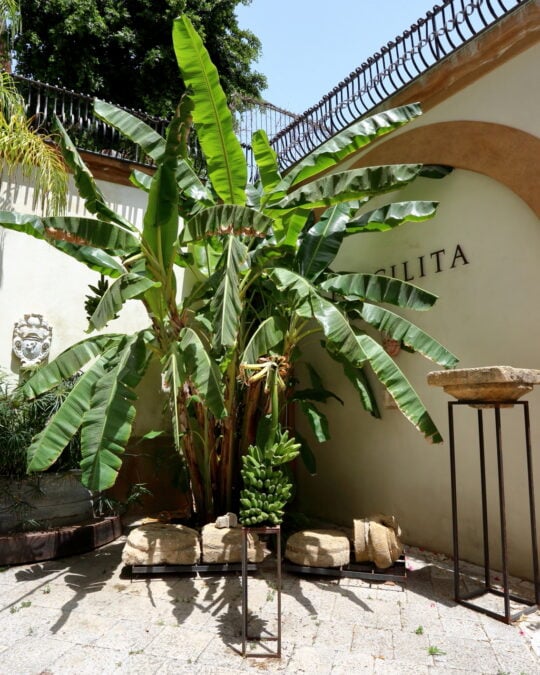 Palazzo Butera | Fondazione Butera Palermo