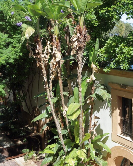 Palazzo Butera | Fondazione Butera Palermo