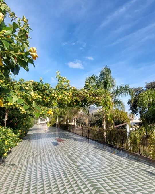 Palazzo Butera | Fondazione Butera Palermo