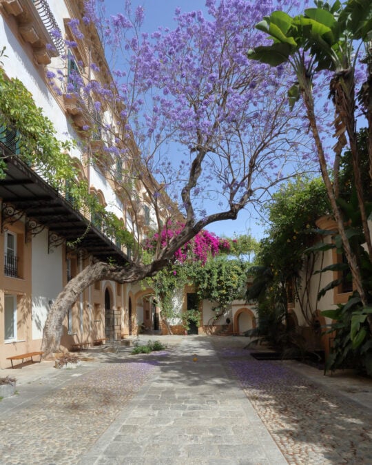 Palazzo Butera | Fondazione Butera Palermo