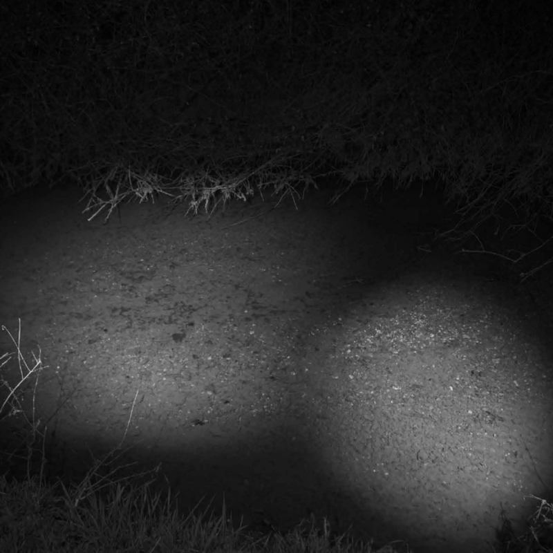 Presentazione di “La Teoria del vuoto”