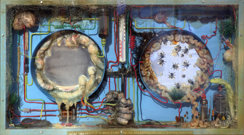 Votre portrait. Esclavage de conservation de l’espèce humaine