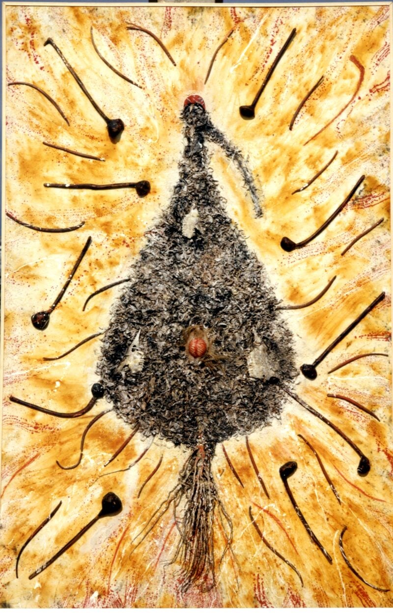 Europa Africa versus